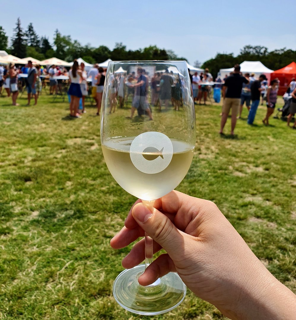 Pinot blanc Pinot blanc